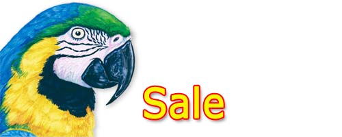sale_heading.jpg