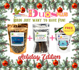 Duos Plus- Birds Just Want To Have Fun!