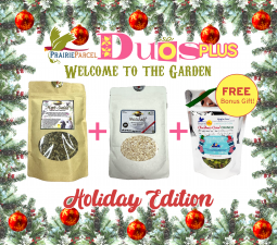 Duos Plus-Welcome To The Garden
