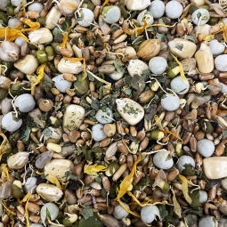 Prairie Plus Just Sprouts! Psittacine 2 Cups