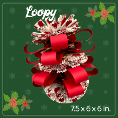 Holiday Loopy! Parrot Toy-For Small to Medium Birds