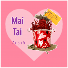 Holiday Mai Tai! Parrot Toy-For Small to Medium birds