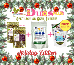 Duos Plus-Spectacular Seed, Indeed!