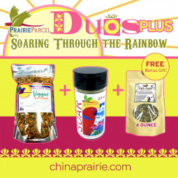 Duos Plus-Soaring Through The Rainbow