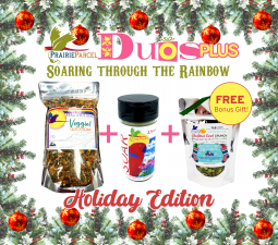 Duos Plus-Soaring Through The Rainbow
