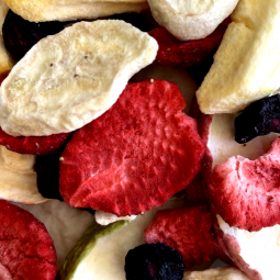 Prairie Plus Jubilee! Fruit Blend (1 Cup)