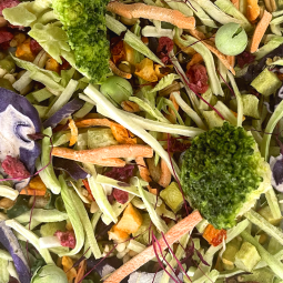 Lou's Raw Food Mash-Smaller Beaks SUMMER BLEND (5 cups)