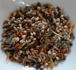 Delight! Dry Avian Blend 1 lb.