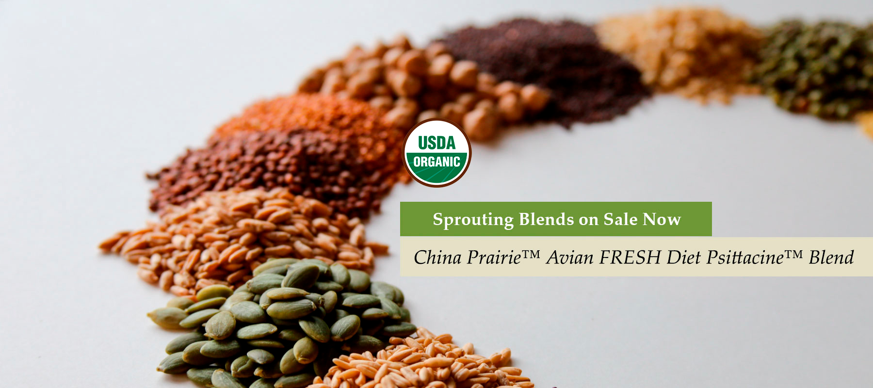 Chinapraire Sprouting Blends Sale