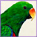Green bird