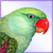 Light green bird