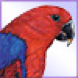 Red and blue bird