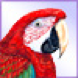 Red bird