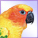 Yellow bird